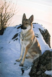 Candy v. Westerw�lder Berg